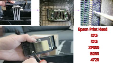 metal bracket from print head fell out how to fix|Part 2 : How to repair DX5 DX7 Epson Printhead .